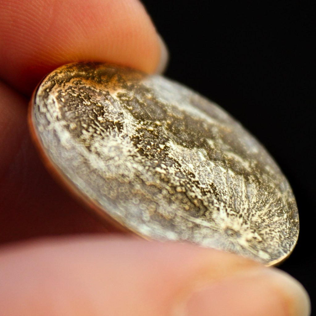 Harvest Moon Brass Coin - 1"